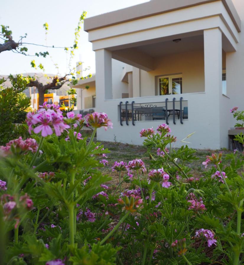 Olive House Βίλα Μάλια Εξωτερικό φωτογραφία