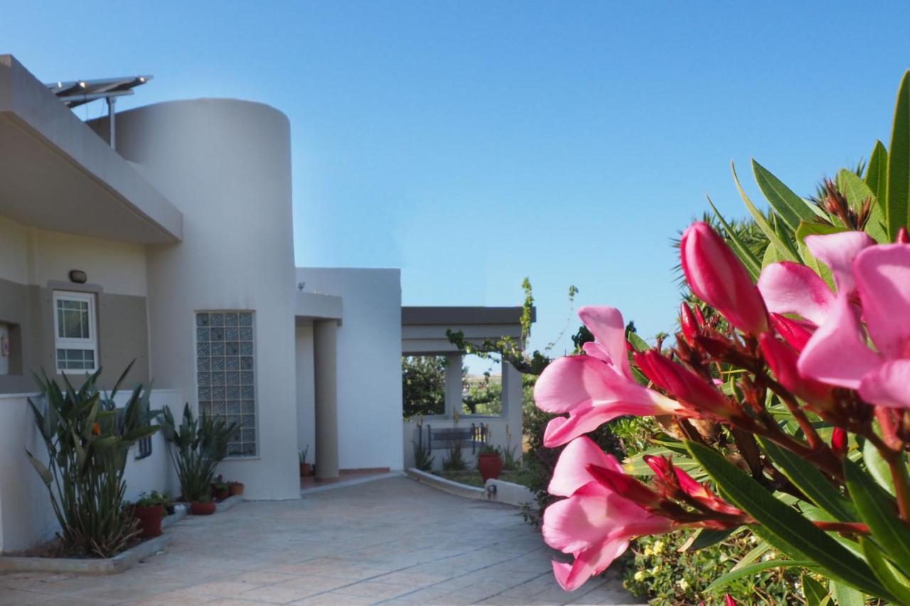 Olive House Βίλα Μάλια Εξωτερικό φωτογραφία